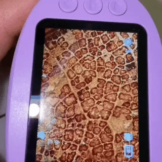 Zoomsy™ Digital Microscope